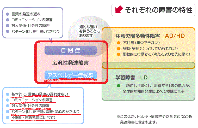 発達 障害 アスペルガー