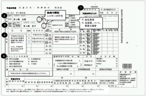 特別 児童 扶養 手当